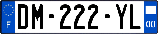 DM-222-YL