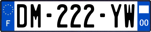 DM-222-YW