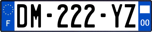 DM-222-YZ