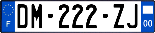 DM-222-ZJ