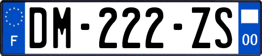 DM-222-ZS