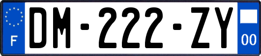 DM-222-ZY