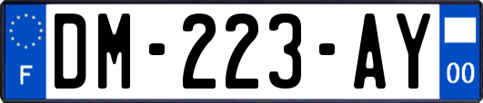 DM-223-AY