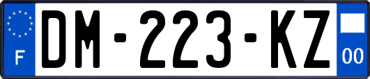 DM-223-KZ