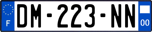 DM-223-NN