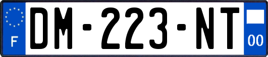 DM-223-NT