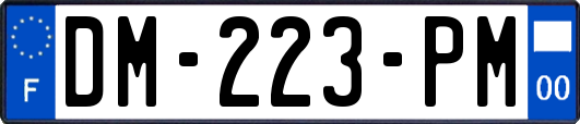 DM-223-PM