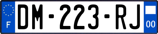 DM-223-RJ