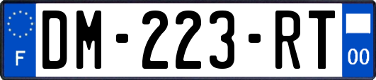 DM-223-RT
