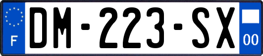 DM-223-SX