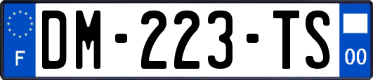DM-223-TS