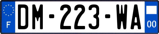 DM-223-WA