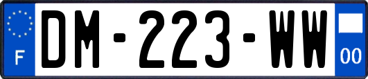 DM-223-WW