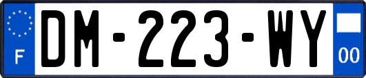 DM-223-WY