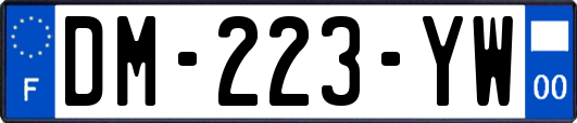 DM-223-YW