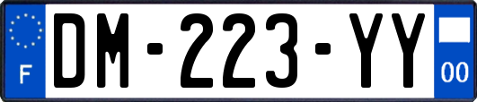 DM-223-YY