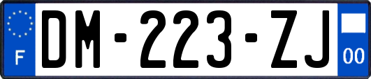 DM-223-ZJ