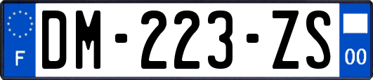 DM-223-ZS