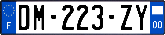 DM-223-ZY