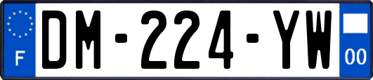 DM-224-YW