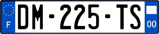 DM-225-TS