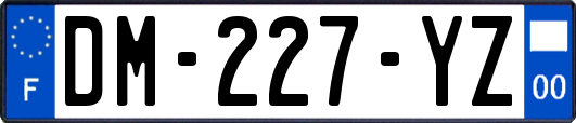 DM-227-YZ