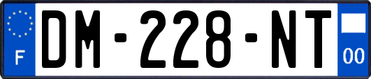 DM-228-NT