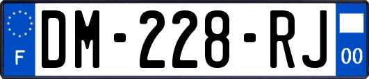 DM-228-RJ