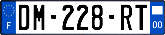 DM-228-RT