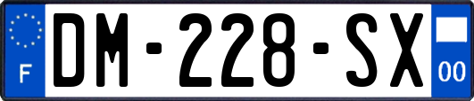 DM-228-SX