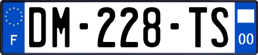 DM-228-TS