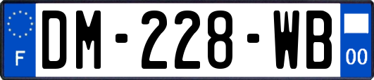 DM-228-WB