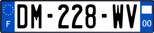 DM-228-WV