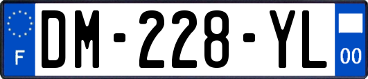 DM-228-YL