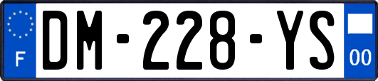 DM-228-YS