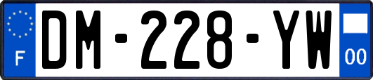 DM-228-YW