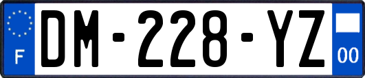 DM-228-YZ