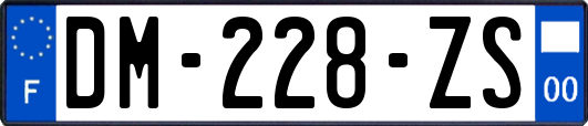 DM-228-ZS