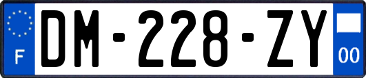 DM-228-ZY