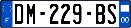 DM-229-BS