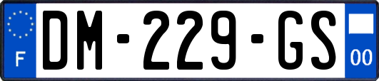 DM-229-GS