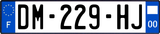 DM-229-HJ