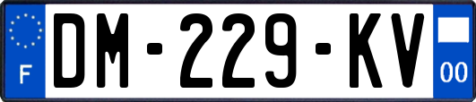 DM-229-KV