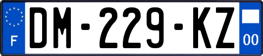 DM-229-KZ
