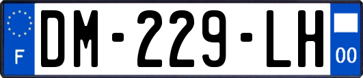 DM-229-LH
