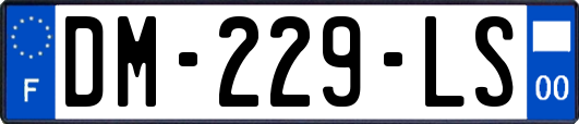 DM-229-LS