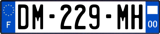 DM-229-MH
