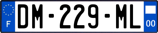 DM-229-ML
