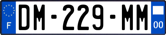DM-229-MM