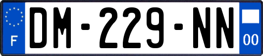 DM-229-NN